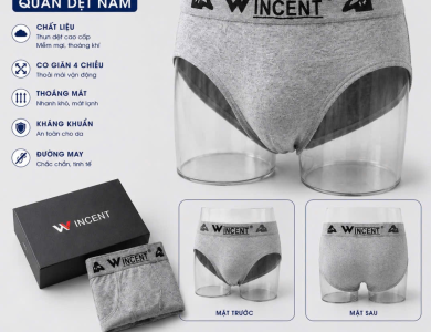 Quần Lót Nam Sợi Dệt Brief Win 608