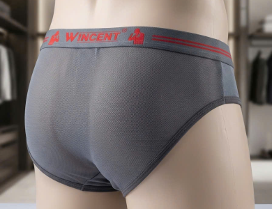 Quần Lót Nam Cotton Phối Lưới Win 605