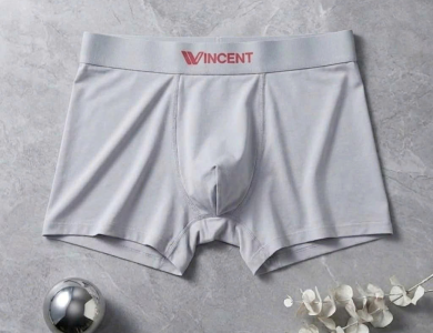 Quần Lót Nam Thun lạnh cao cấp Win504 – Mềm Mát, Thoải Mái Cả Ngày