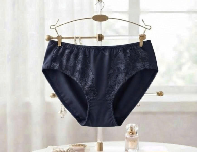 Quần Lót Nữ Thun Lạnh Phối Ren N022 - Wincent Việt Nam