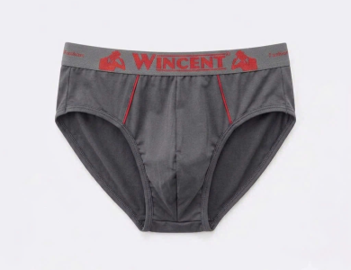 Quần Lót Nam Thun Lạnh WIN 905-3F - Wincent Việt Nam