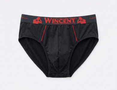Quần Lót Nam Thun Lạnh WIN 905-3F - Wincent Việt Nam